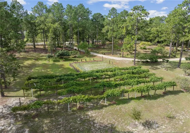 Photo 2 of Sale Pending at 242 Jody Ln, Raeford, NC 28376 | MLS# 769206 | Listing updated on 2026-09-29