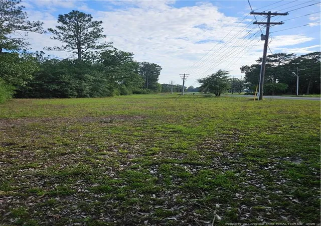 Land for sale at 4266 Sids Ml Rd, Fayetteville, NC 28312 | MLS# 768629