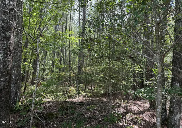 Photo 1 of Sale Pending at 0 New Elam Church Rd, Moncure, NC 27559 | MLS# 10192691 | Listing updated on 2026-09-17