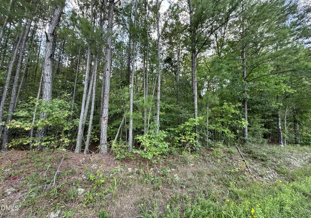 Photo 4 of Sale Pending at 0 New Elam Church Rd, Moncure, NC 27559 | MLS# 10192691 | Listing updated on 2026-09-17