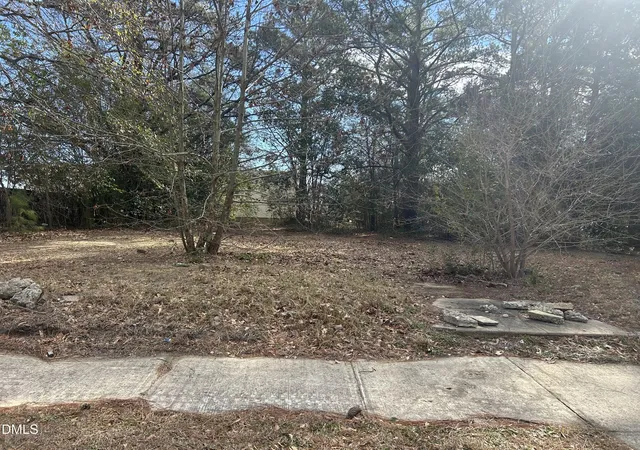 Photo 1 of Land for sale at 207 S Magnolia Ave, Dunn, NC 28334 | MLS# 10192625 | Listing updated on 2026-09-14