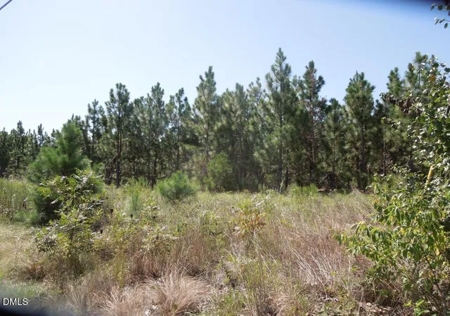 Photo 2 of Land for sale at Tbd Hwy 24 And Marks Rd, Cameron, NC 28326 | MLS# 10192716 | Listing updated on 2026-09-15