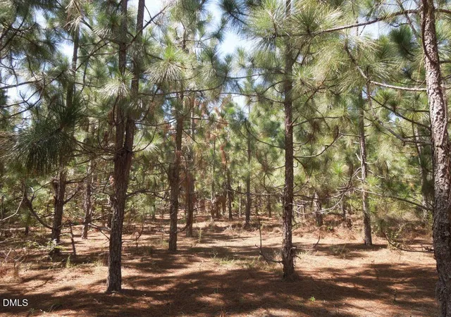Photo 3 of Land for sale at Tbd Hwy 24 And Marks Rd, Cameron, NC 28326 | MLS# 10192716 | Listing updated on 2026-09-15