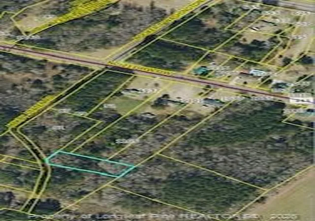Photo 3 of Land for sale at Mckoy/staten Rd, Clarkton, NC 28433 | MLS# 769409 | Listing updated on 2026-09-16