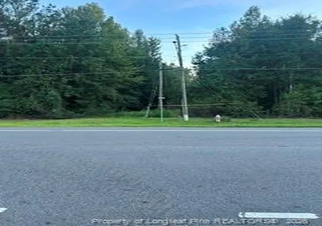 Photo 3 of Land for sale at Mckoy/staten Rd, Clarkton, NC 28433 | MLS# 769409 | Listing updated on 2026-09-16