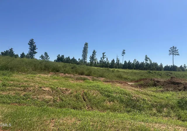 Photo 1 of Land for sale at Lot 6 0 W Old Spring Hope Rd, Spring Hope, NC 27882 | MLS# 10193170 | Listing updated on 2026-09-24
