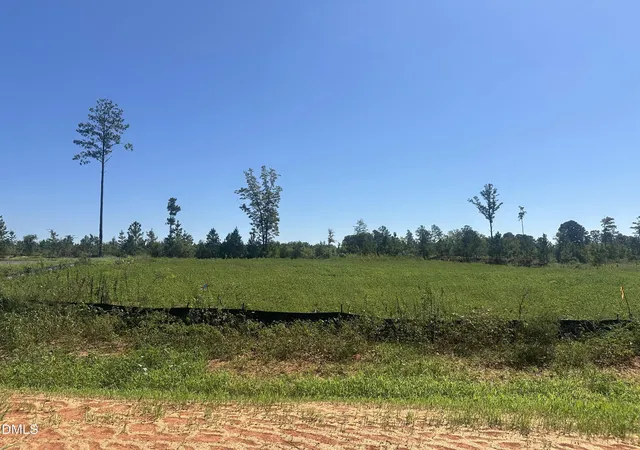 Photo 1 of Land for sale at Lot 3 0 W Old Spring Hope Rd, Spring Hope, NC 27882 | MLS# 10193178 | Listing updated on 2026-09-24
