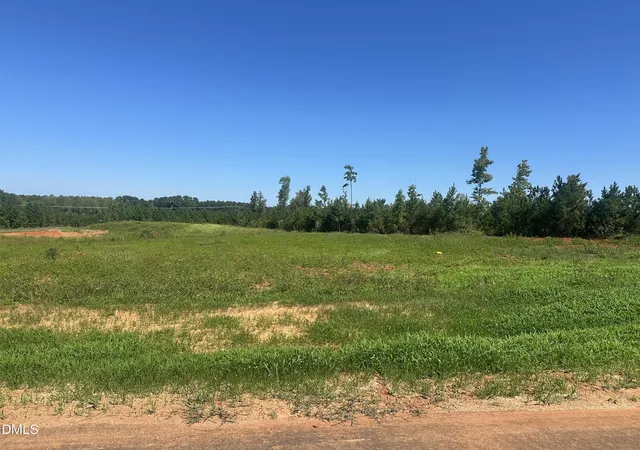 Photo 1 of Land for sale at Lot 4 0 W Old Spring Hope Rd, Spring Hope, NC 27882 | MLS# 10193182 | Listing updated on 2026-09-24