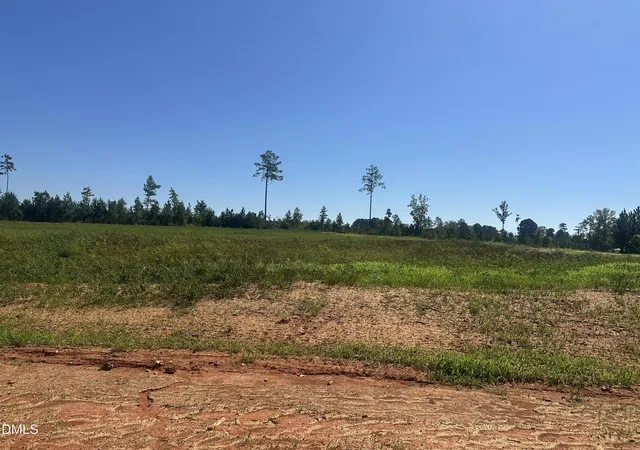 Photo 1 of Land for sale at Lot 5 0 W Old Spring Hope Rd, Spring Hope, NC 27882 | MLS# 10193186 | Listing updated on 2026-09-24