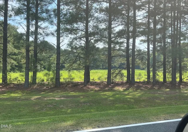 Land for sale at 3427 Matthews Ml Pond Rd, Angier, NC 27501 | MLS# 10193214