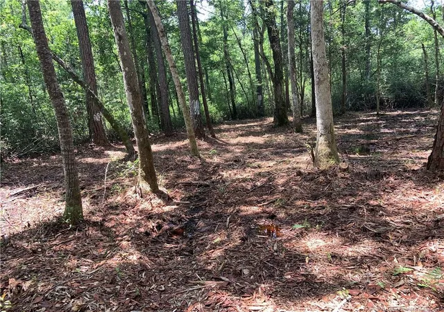 Photo 2 of Land for sale at Dandy Acres Ln, Supply, NC 28462 | MLS# 769594 | Listing updated on 2026-09-24