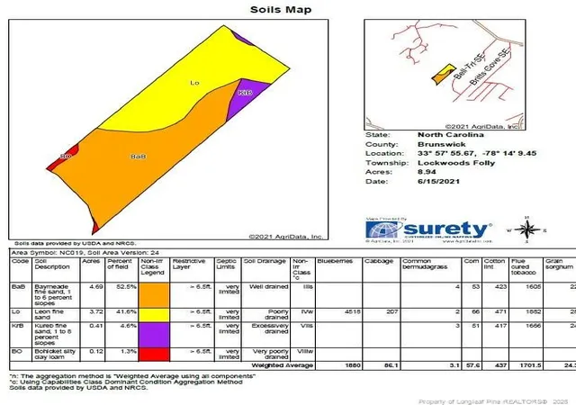 Photo 3 of Land for sale at Dandy Acres Ln, Supply, NC 28462 | MLS# 769594 | Listing updated on 2026-09-24