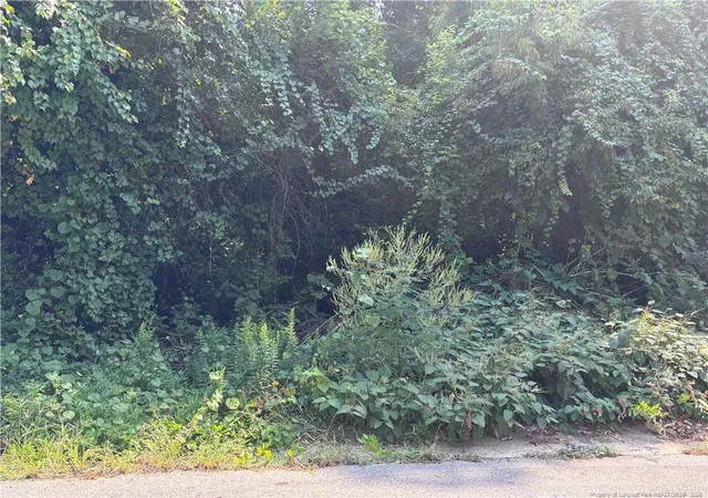 Land for sale at 421 Preston Ave, Fayetteville, NC 28301 | MLS# 769603