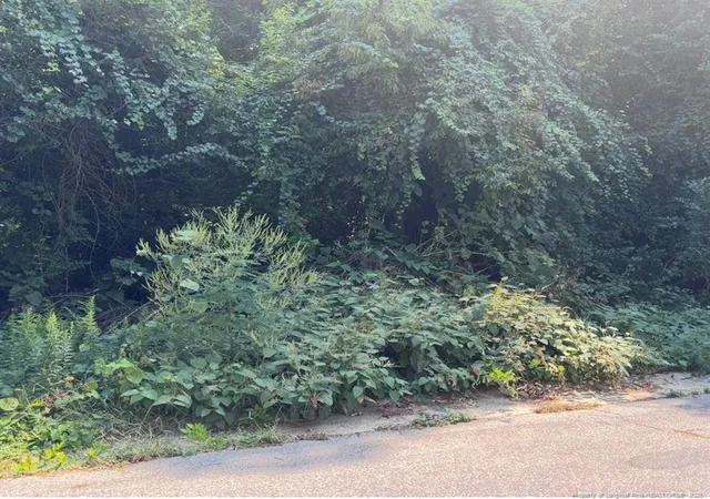 Photo 2 of Land for sale at 421 Preston Ave, Fayetteville, NC 28301 | MLS# 769603 | Listing updated on 2026-09-29