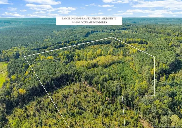 Land for sale at 5322 River Rd, Fuquay Varina, NC 27540 | MLS# 769614