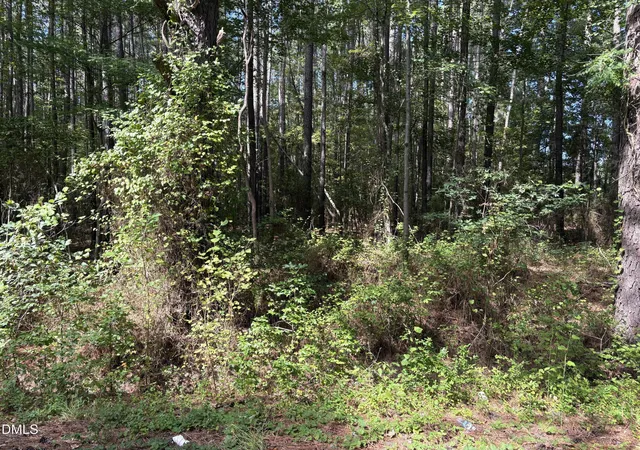 Photo 2 of Land for sale at 0 Carver School Rd, Henderson, NC 27537 | MLS# 10193925 | Listing updated on 2026-09-21