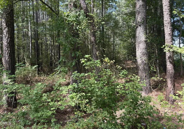 Photo 4 of Land for sale at 0 Carver School Rd, Henderson, NC 27537 | MLS# 10193925 | Listing updated on 2026-09-21