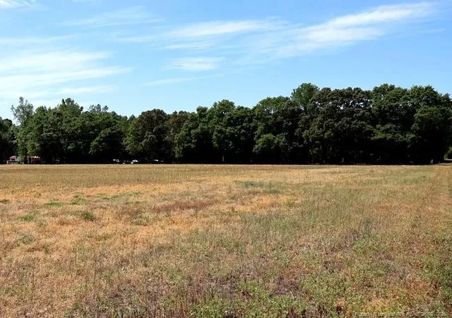 Photo 17 of Sale Pending at Tbd N Duffie Rd, Red Springs, NC 28377 | MLS# 769678 | Listing updated on 2026-09-24