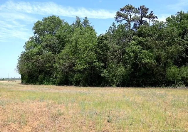 Photo 2 of Sale Pending at Tbd N Duffie Rd, Red Springs, NC 28377 | MLS# 769678 | Listing updated on 2026-09-24