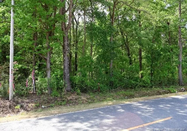 Photo 3 of Sale Pending at Tbd N Duffie Rd, Red Springs, NC 28377 | MLS# 769678 | Listing updated on 2026-09-24