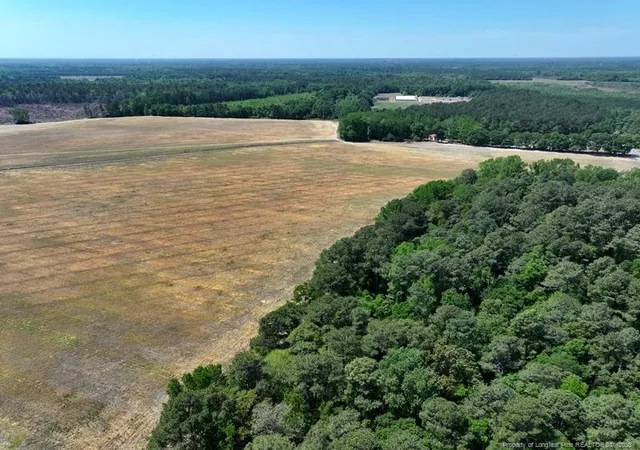 Photo 4 of Sale Pending at Tbd N Duffie Rd, Red Springs, NC 28377 | MLS# 769678 | Listing updated on 2026-09-24