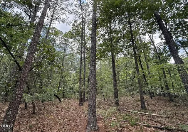 Photo 4 of Land for sale at 0 Elfman Dr, Spring Lake, NC 28390 | MLS# 10194253 | Listing updated on 2026-09-23