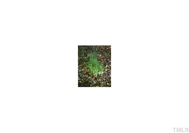 Photo 3 of Land for sale at 120 Rustler Rd, Louisburg, NC 27549 | MLS# 10194459 | Listing updated on 2026-09-24