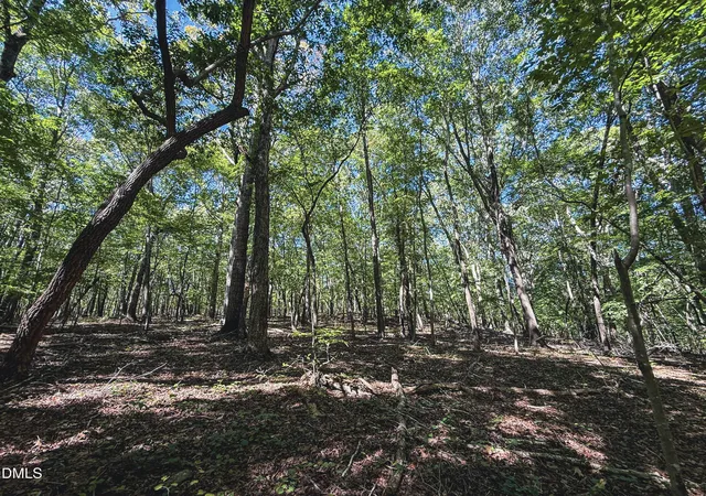 Photo 1 of Land for sale at 0 Ralph Moore Rd, Bear Creek, NC 27207 | MLS# 10195188 | Listing updated on 2026-10-29