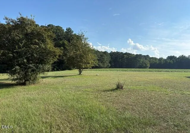 Photo 1 of Land for sale at 6171 Old Raleigh Rd, Sims, NC 27880 | MLS# 10198138 | Listing updated on 2026-10-13