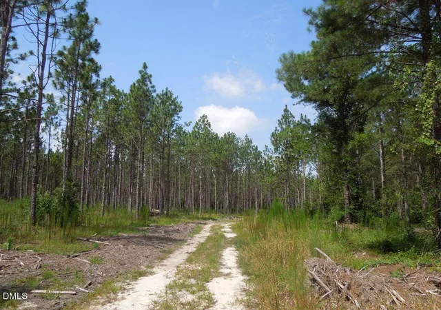 Photo 1 of Land for sale at Tbd Nursery Rd, Spring Lake, NC 28390 | MLS# 10199441 | Listing updated on 2026-10-21