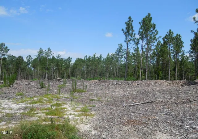 Photo 3 of Land for sale at Tbd Nursery Rd, Spring Lake, NC 28390 | MLS# 10199441 | Listing updated on 2026-10-21