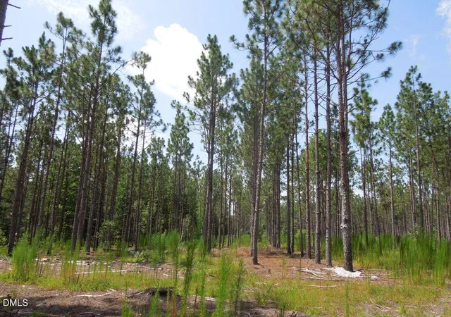 Photo 3 of Land for sale at Tbd Nursery Rd, Spring Lake, NC 28390 | MLS# 10199441 | Listing updated on 2026-10-21