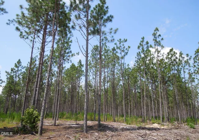 Photo 4 of Land for sale at Tbd Nursery Rd, Spring Lake, NC 28390 | MLS# 10199441 | Listing updated on 2026-10-21