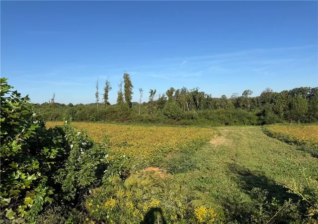 Photo 3 of House for sale at Lot 2 Eldora Rd, Ararat, NC 27007 | MLS# 1239242 | Listing updated on 2026-10-16