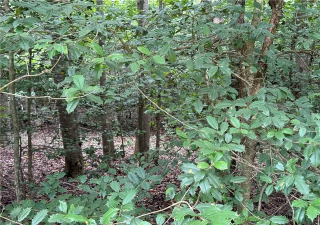 Photo 2 of Land for sale at Lot 22 Zinzendorf Ln, Moravian Falls, NC 28654 | MLS# 1236107 | Listing updated on 2026-09-18