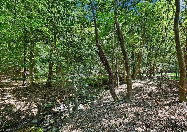 Photo 3 of Land for sale at 3883 Millikan Farm Rd, Franklinville, NC 27248 | MLS# 1234482 | Listing updated on 2026-10-05