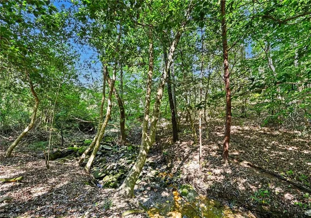 Photo 3 of Land for sale at 3883 Millikan Farm Rd, Franklinville, NC 27248 | MLS# 1234482 | Listing updated on 2026-10-05