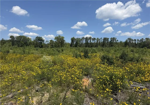 Photo 3 of Sale Pending at 0000 Mizpah Church Rd, Reidsville, NC 27320 | MLS# 1234665 | Listing updated on 2026-09-10