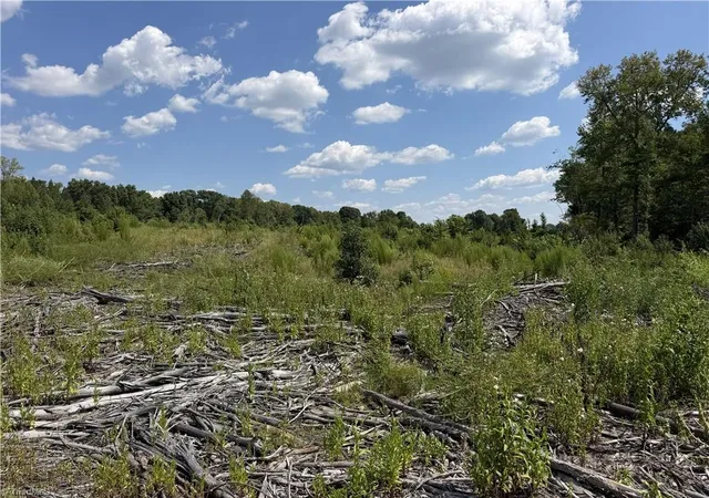 Photo 3 of Sale Pending at 0000 Mizpah Church Rd, Reidsville, NC 27320 | MLS# 1234665 | Listing updated on 2026-09-10