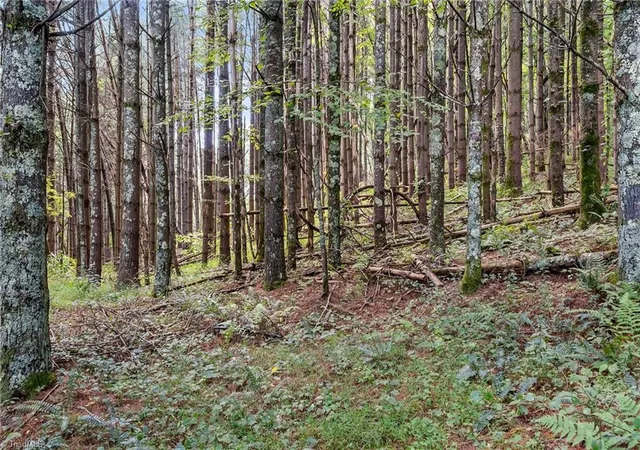 Photo 3 of Sale Pending at 97 View Ln, Laurel Springs, NC 28644 | MLS# 1235613 | Listing updated on 2026-09-18