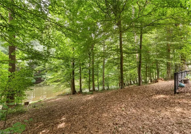 Photo 3 of Single family home for sale at 204 Tullyries Ln, Lewisville, NC 27023 | MLS# 1234526 | Listing updated on 2026-09-14