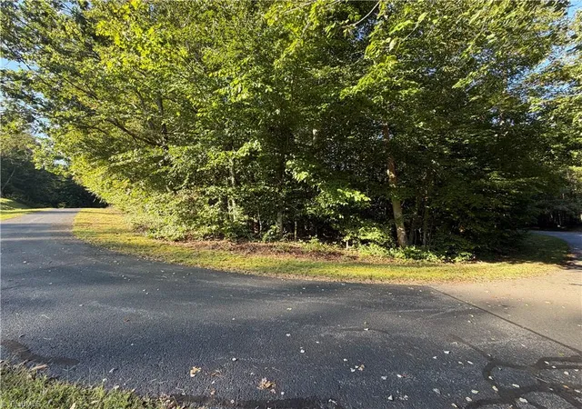 Photo 3 of Land for sale at Lot 29 Cabin Cvs Ln, Moravian Falls, NC 28654 | MLS# 1235996 | Listing updated on 2026-09-17