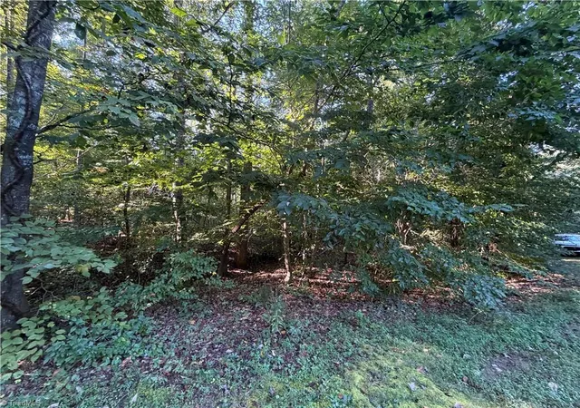 Photo 3 of Land for sale at Lot 29 Cabin Cvs Ln, Moravian Falls, NC 28654 | MLS# 1235996 | Listing updated on 2026-09-17