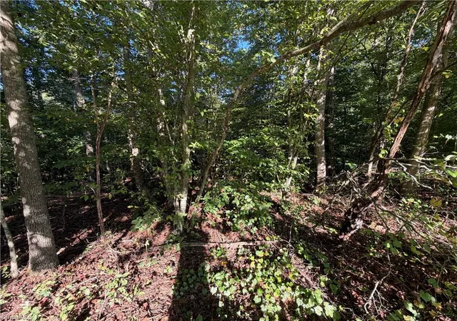 Photo 4 of Land for sale at Lot 29 Cabin Cvs Ln, Moravian Falls, NC 28654 | MLS# 1235996 | Listing updated on 2026-09-17
