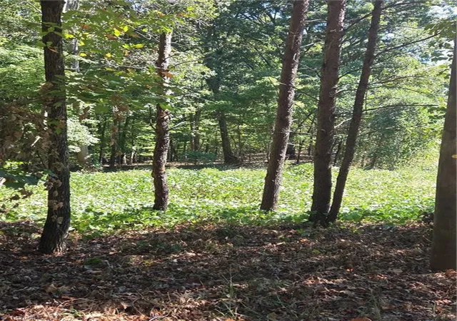 Photo 1 of Sale Pending at 1075 Augusta Hicks Rd, Walnut Cove, NC 27052 | MLS# 1238544 | Listing updated on 2026-10-24