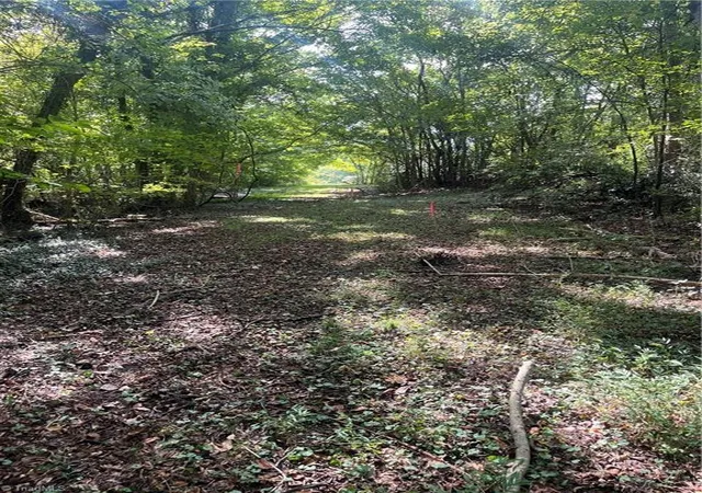 Photo 2 of Land for sale at 0 Oliver St, Ramseur, NC 27316 | MLS# 1236134 | Listing updated on 2026-10-03
