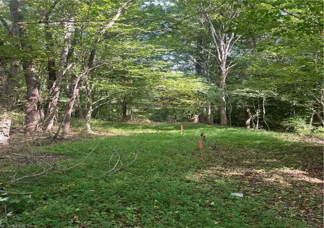 Photo 3 of Land for sale at 0 Oliver St, Ramseur, NC 27316 | MLS# 1236134 | Listing updated on 2026-10-03
