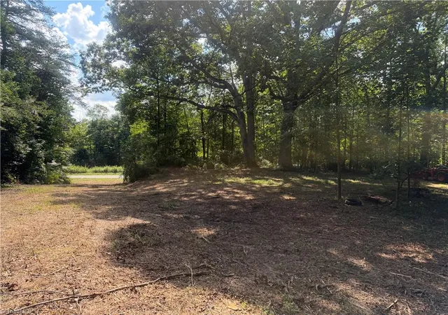 Photo 4 of Land for sale at Red White And Blue Rd, Roaring River, NC 28669 | MLS# 1234833 | Listing updated on 2026-09-10