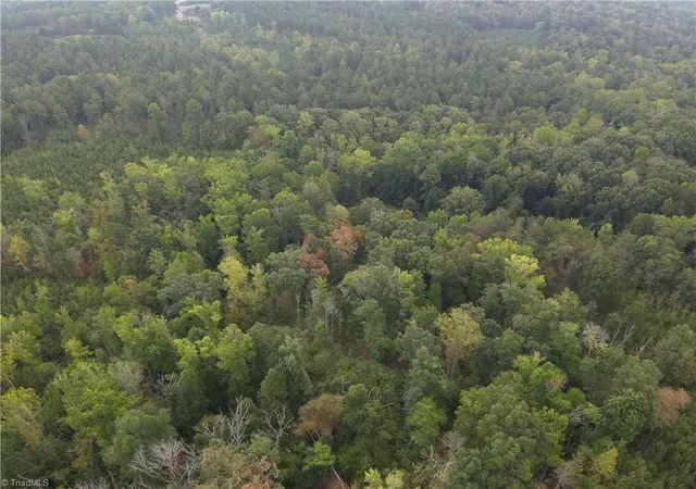 Photo 3 of Land for sale at 550 Van Buren Rd, Stoneville, NC 27048 | MLS# 1236212 | Listing updated on 2026-10-07