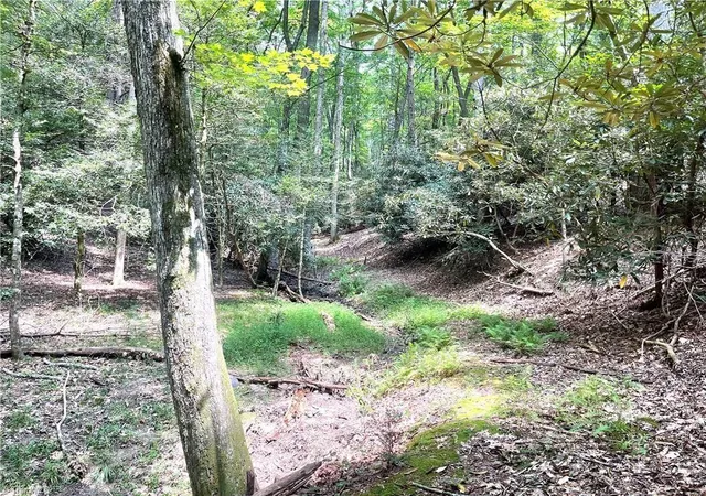 Photo 12 of Land for sale at Tbd Buck Dr, Hays, NC 28635 | MLS# 1234856 | Listing updated on 2026-09-18